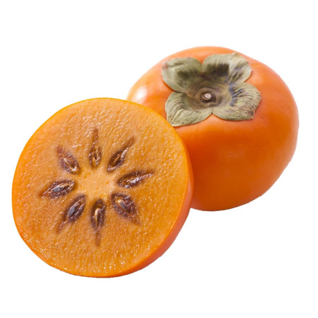 KAKI KG